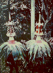 [Two Tolai wearing conical duk duk masks topped with elaborate openwork wood peaks: 24k]