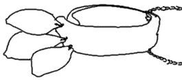 [drawing of cut shell armband mwali and attached shells: 2k]